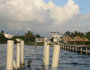 Belize slow season