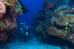 Belize Scuba magazine