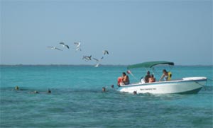 Belize snorkeling