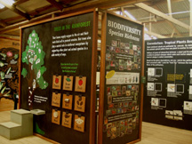 Tropical Wings museum