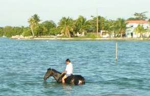 Horse Bay
