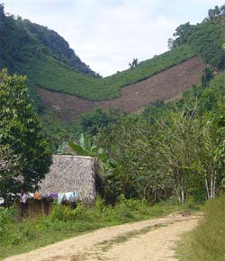 Maya Village