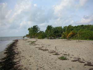 Placencia Beach