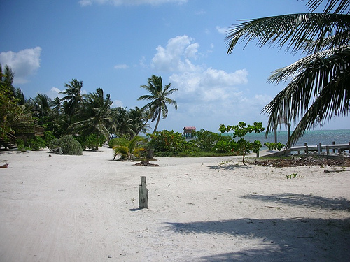 Ambergris desolation