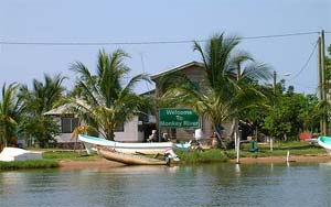 Monkey River
