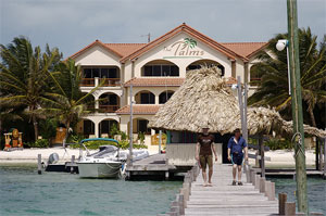 Palms