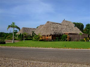 Turtle Inn